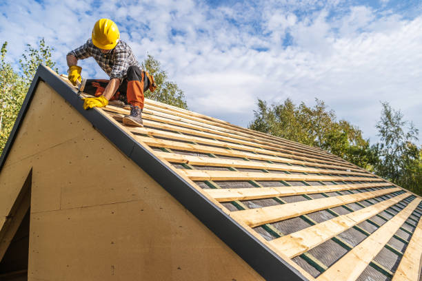 Best Flat Roof Repair Services  in Rising Sun, MD